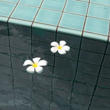 Top 5 Best Tiles To Use Around Your Pool Sydney